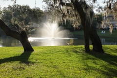 IMG_0244-L
